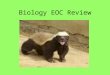 Biology EOC Review. Science Methods Observation Questioning and stating problems Hypothesis vs. Theory Experiment includes a control group IV – independent