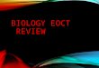 BIOLOGY EOCT REVIEW. WHAT ARE THE TYPES OF CELLS? Eukaryotic cells true nucleus and organelles plants, animals, protists, and fungi are eukaryotes Prokaryotic