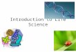 Introduction to Life Science. Types of Life 5 Characteristics of Life 1.Cells- most basic unit of life. Ex. Animal, Plant, Bacteria