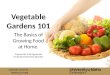 CANYON COUNTY HORTICULTURE Vegetable Gardens 101 The Basics of Growing Food at Home Prepared by Ariel Agenbroad Horticulture Extension Educator