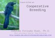 Cooperative Breeding JodyLee Estrada Duek, Ph.D. With assistance from Dr. Gary Ritchison  Groove-billed