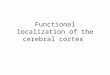 Functional localization of the cerebral cortex. Development Three general areas have been proposed to define the different areas in the brain. General