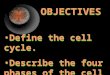 OBJECTIVES Define the cell cycle. Describe the four phases of the cell cycle. Define the cell cycle. Describe the four phases of the cell cycle