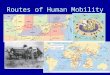 Routes of Human Mobility. Global Immigration Patterns NET OUT-MIGRATION Asia Latin America Africa NET IN-MIGRATION North America Europe Oceania The global
