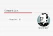 Genetics Chapter 11. History of Genetics  Gregor Mendel 1822-1884 “Father of genetics” a monk who studied inheritance traits in pea plans worked with