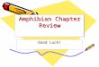 Amphibian Chapter Review Good Luck!. What is the term we use for eardrum? Tympanic membrane