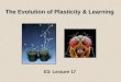 The Evolution of Plasticity & Learning E3: Lecture 17