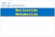 UNIT IV: Nitrogen Metabolism Nucleotide Metabolism