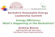 Berkshire Renewable Energy Leadership Summit Energy Efficiency: What’s Happening in the Berkshires? Andrew Bloom Lighting Retrofit Specialist Northeast