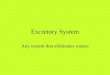 Excretory System Any system that eliminates wastes