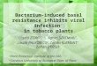 Bacterium-induced basal resistance inhibits viral infection in tobacco plants László ZSIROS 1,2, Ágnes SZATMÁRI 1, László PALKOVICS 2, Zoltán KLEMENT 1