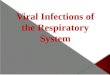 Viral Infections of the Respiratory System.  Common cold (rhinitis).  Sinusitis & otitis media.  Pharyngitis & tonsillitis.  Croup (acute laryngotracheobronchitis)