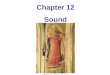 Chapter 12 Sound. 12-1 Characteristics of Sound Sound can travel through any kind of matter, but not through a vacuum. The speed of sound is different