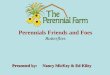 Perennials Friends and Foes Butterflies Presented by: Nancy MicKey & Ed Kiley
