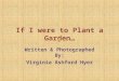 If I were to Plant a Garden… Written & Photographed By: Virginia Ashford Hyer