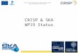 CRISP & SKA WP19 Status. Overview Staffing SKA Preconstruction phase Tiered Data Delivery Infrastructure Prototype deployment