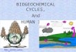 BIOGEOCHEMICAL CYCLES, And HUMAN IMPACT Man, Steve Cutts 3.36