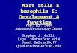 Mast cells & basophils I: Development & function Feb. 23, 2004 Advanced Immunology Course Stephen J. Galli (sgalli@stanford.edu) Janet Kalesnikoff (jkalesni@stanford.edu)