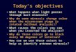 1 Today’s objectives What happens when light passes through most minerals?What happens when light passes through most minerals? Why do some minerals change