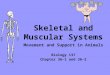 Skeletal and Muscular Systems Movement and Support in Animals Biology 137 Chapter 36-1 and 36-2