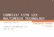 CHAPTER TWELVE DISPLAY TECHNOLOGY (I) CRT & LCD CGMB113/ CITB 123: MULTIMEDIA TECHNOLOGY 1 SARASWATHY SHAMINI Adapted from Notes Prepared by: Noor Fardela