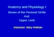 Anatomy and Physiology I Bones of the Pectoral Girdle And Upper Limb Instructor: Mary Holman