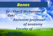 Bones Dr : Sherif Mohammed Zaki Assistant professor of anatomy Faculty of medicine Cairo university