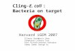 Cling-E. coli : Bacteria on target Harvard iGEM 2007 Ellenor Brown Stephanie Lo Alex Pickett Sammy Sambu Kevin Shee Perry Tsai Shaunak Vankudre George