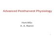 Advanced Postharvest Physiology Hort-MSc A. A. Ramin 1