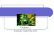 Chapter 1 Biology Exploring Life. Chapter 1: Biology: the study of life What is Life?