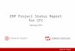 Ganda ERP Project | ERP Project Status Report for CFC February 2014