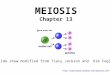 MEIOSIS Chapter 13  Slide show modified from Tracy Jackson and Kim Foglia