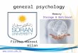 Www.soran.edu.iq general psychology Firouz meroei milan Memory Storage & Retrieval 1