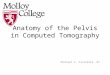 Anatomy of the Pelvis in Computed Tomography Michael C. Ficorelli, RT