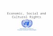 Economic, Social and Cultural Rights. concern the dignity of human beings ideas of equality and access to essential social and economic goods and opportunities