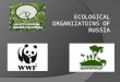 ECOLOGICAL ORGANIZATOINS OF RUSSIA. Today our environment and wildlife are in danger. Every day the situation becomes worse and worse.  Our project is