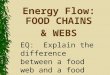 Energy Flow: FOOD CHAINS & WEBS EQ: Explain the difference between a food web and a food chain