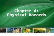 Chapter 6: Physical Hazards. Physical hazards are either foreign materials unintentionally introduced to food products (e.g. metal fragments in mince