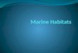 What is a habitat? Habitat means “a place where an organism lives” Habitats are classified based on unique abiotic and biotic features Abiotic- water