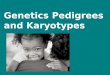 Genetics Pedigrees and Karyotypes. Karyotype What to look for in a karyotype? When analyzing a human karyotype, scientists first look for these main