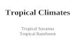 Tropical Climates Tropical Savanna Tropical Rainforest