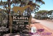 Well, no-one can say we lack imagination in Kulin! Months before the annual Kulin Bush Races, workshops are noisy not with the sound of farm machinery
