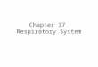 Chapter 37 Respiratory System. Respiratory System (Breathing) (Cellular) RespirationBreathing 1.Chemical Process Food is oxidized by enzymes & converted