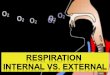 15-1. 15-2 15-3 15-4 Internal Respiration Internal respiration is the diffusion of O 2 from systemic capillaries into tissues and CO 2 from tissue fluid
