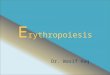 E rythropoiesis Dr. Wasif Haq. Introduction Red blood cells also called as “Erythrocytes”. R.B.C. required for transportation of respiratory gases. Biconcave