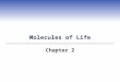 Molecules of Life Chapter 2. Protein Functions  Act as enzymes  Structural- cytoskeleton (actin, tubulin, others)  Mechanical- actin and myosin in