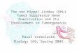 Pavel Yarmolenko Biology 169, Spring 2005 The von Hippel-Lindau (VHL) Tumor Suppressor Gene Inactivation and Its Involvement in Tumorgenesis