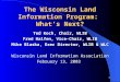 1 The Wisconsin Land Information Program: What’s Next? Ted Koch, Chair, WLIB Fred Halfen, Vice-Chair, WLIB Mike Blaska, Exec Director, WLIB & WLC Wisconsin
