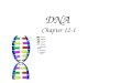 DNA Chapter 12-1. Role of DNA Genetic basis of life Carries code for all the genes of an organism Genes create proteins Proteins perform life functions
