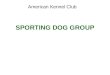 SPORTING DOG GROUP American Kennel Club. American Water Spaniel Brittany Chesapeake Bay Retriever Clumber Spaniel Sporting Group; AKC recognized in 1940
